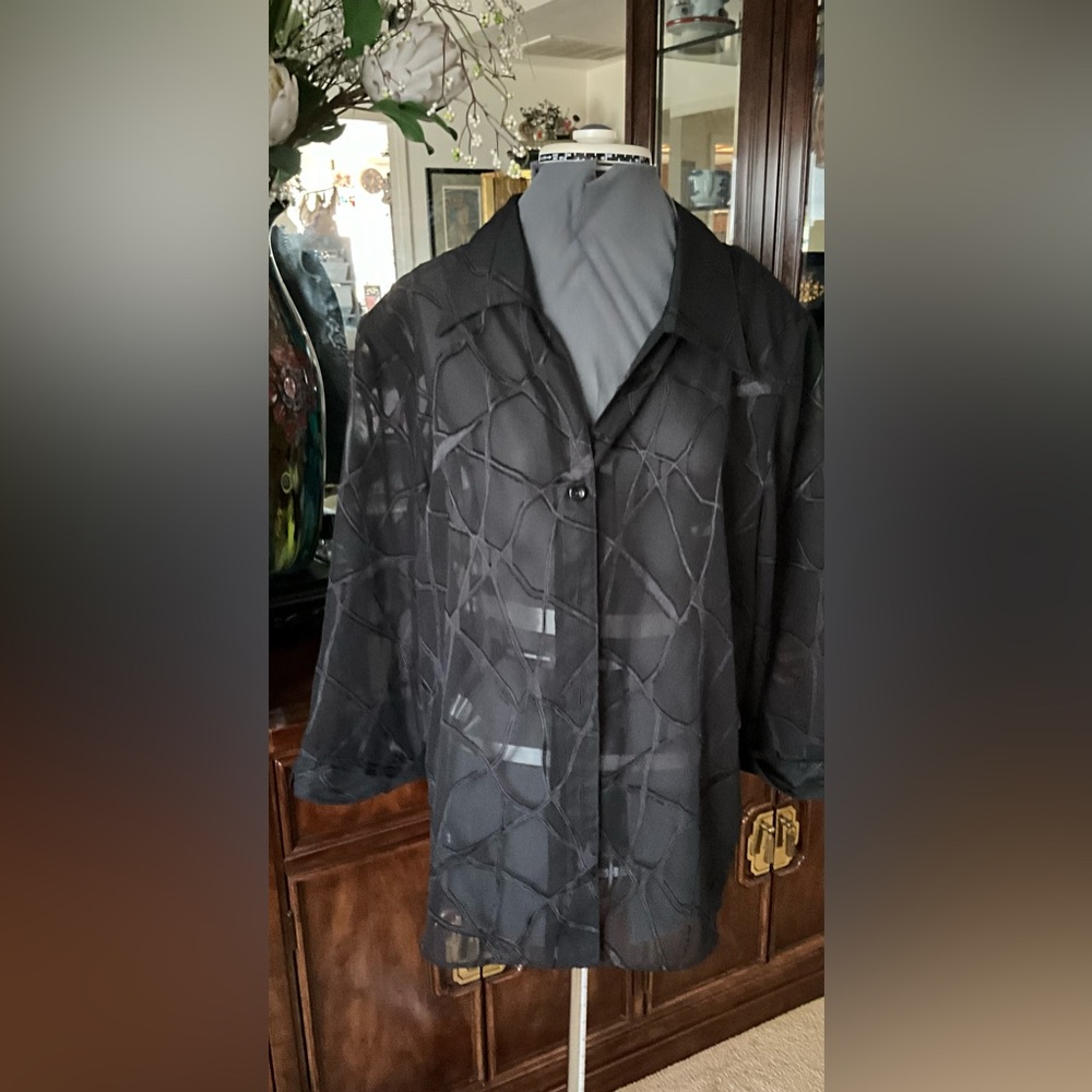 Black Sheer Abstract-Pattern Button Front Blouse